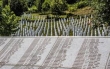 Organizacioni odbor: Ne dozvolite da Srebrenica padne u zaborav nakon 11. jula
